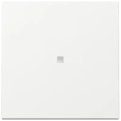 GIRA Kontrollwippe Schalter 329003 | System 55 | Kontrollfenster | Reinweiß glänzend | Thermoplast | RAL 9010 | IP20