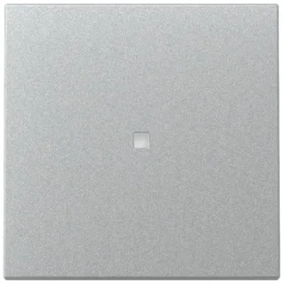 GIRA Kontrollwippe Schalter 329026 System 55 | Kontrollfenster | Kunststoff Thermoplast | IP20 | Farbe Alu