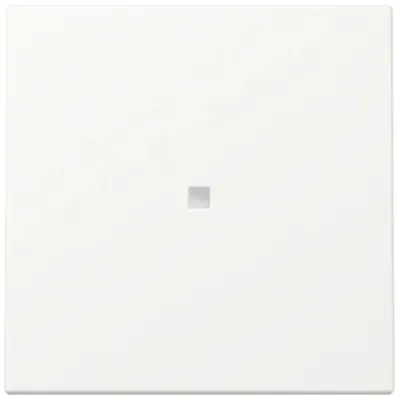 GIRA Kontrollwippe Schalter 329027 | System 55 | Kontrollfenster | einteilig | IP20 | Thermoplast | reinweiß matt