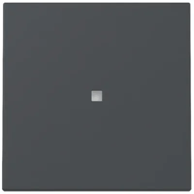 GIRA Kontrollwippe Schalter 329028 | System 55 | Kontrollfenster | Thermoplast | anthrazit | IP20