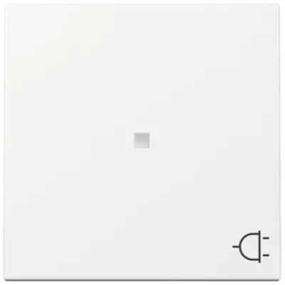 GIRA Wippe Kontrollfenster Schalter 329103 | System 55 | Steckdose Symbol | Thermoplast glänzend | weiß RAL 9010