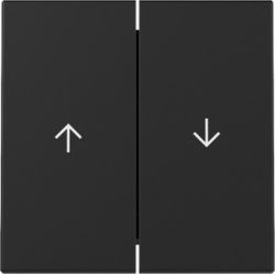 GIRA 3294005 Wippe 2f Pfeil System 55 Schwarz m