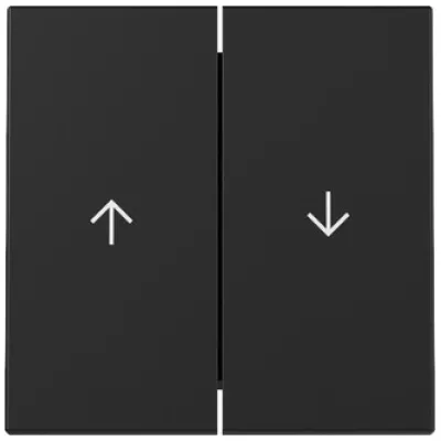 GIRA Wippe 2fach 3294005 | System 55 | Jalousieschalter Pfeilsymbol | Schwarz matt | Thermoplast
