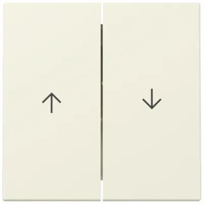 GIRA Wippe 2fach Jalousie 329401 | System 55 | Pfeilsymbol | Kunststoff Thermoplast glänzend | cremeweiß RAL 1013