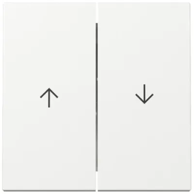 GIRA Wippe 2-fach 329403 | Jalousieschalter | Pfeilsymbol | System 55 | Kunststoff | Reinweiß glänzend | RAL 9010