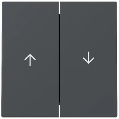 GIRA Wippe 2fach 329428 Jalousieschalter | System 55 | Pfeilsymbol | Kunststoff Thermoplast | anthrazit