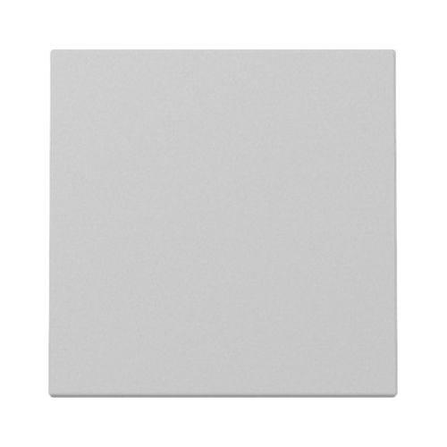 Bild: GIRA 3296015 Wippe System 55 Grau m