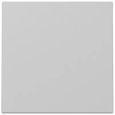 GIRA Wippe Schalter System 55 3296015 | Tasterabdeckung | einteilig | Kunststoff Thermoplast | grau matt lackiert | IP20