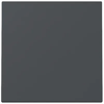 GIRA Wippe Schalter 329628 System 55 | einteilig | Kunststoff Thermoplast | Klemmbefestigung | IP20 | anthrazit