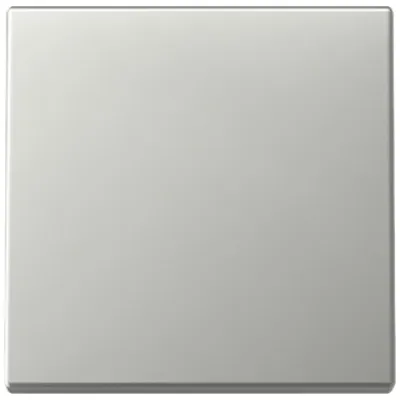 GIRA Wippe Schalter 3296600 | System 55 | Edelstahl | für Bussystem-Tasterankopplung | einteilig | Metall | IP20