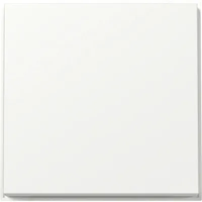 GIRA Wippe Schalter TX_44 329666 | Unterputz | IP44 | Kunststoff Thermoplast | Klemmbefestigung | reinweiß RAL 9010
