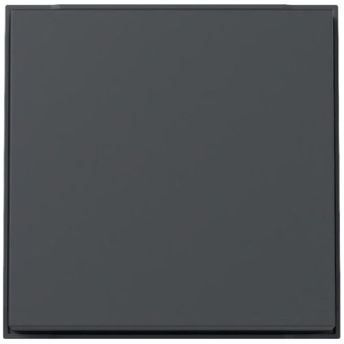 Bild: GIRA 329667 Wippe Gira TX_44 (WG UP) Anthrazit