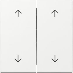 GIRA 329703 Wippe 2f Pfeile System 55 Reinweiß