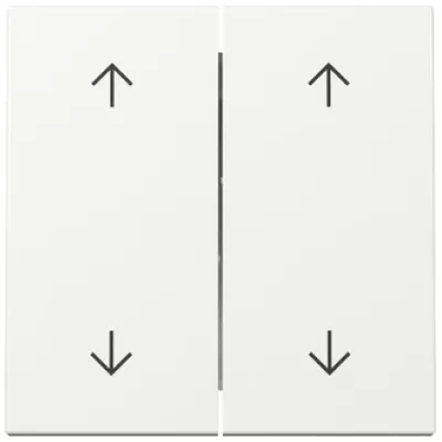 GIRA Wippe 2fach 329703 | Jalousieschalter | Pfeilsymbole | System 55 | Kunststoff glänzend | Reinweiß RAL 9010