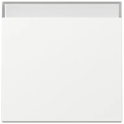 GIRA Wippe Schalter 329903 | System 55 | Beschriftungsfeld | einteilig | Thermoplast | IP20 | glänzend | reinweiß