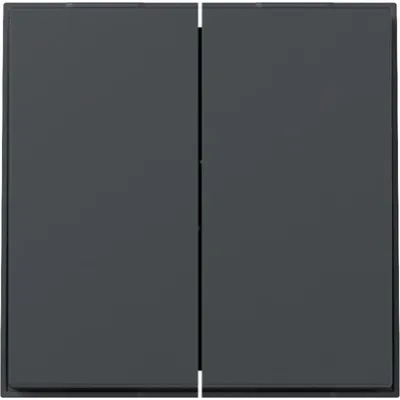 GIRA Wippe 2fach gerade 349567 | serienschalter TX_44 | Kunststoff Thermoplast | lackiert | anthrazit RAL 7016