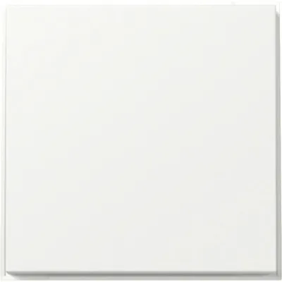 GIRA Wippe Schalter 349666 | TX_44 | gerade Ausführung | Thermoplast Kunststoff | reinweiß RAL 9010