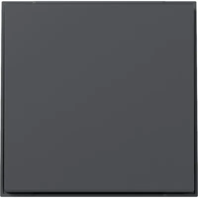 GIRA Wippe Schalter 349667 | TX_44 Serie | für Schalter/Taster | Kunststoff Thermoplast | IP44 | anthrazit RAL 7016