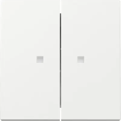 GIRA Wippe 2fach 363103 | Schalterabdeckung System 55 | Kontrollfenster | Kunststoff | IP20 | Reinweiß glänzend