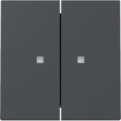 GIRA Wippe 2fach 363128 | Kontrollfenster | System 55 | Schalter/Taster Einsatz | Thermoplast | anthrazit