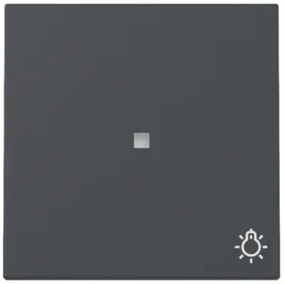 GIRA Wippe Schalter System 55 367428 | Kontrollfenster Symbol Licht | einteilig | Kunststoff Thermoplast | anthrazit