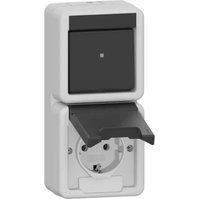GIRA Steckdosenkombination 417630 | Wechselschalter & SCHUKO Typ F | Aufputz | IP44 | senkrecht | grau | Kunststoff