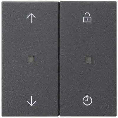 GIRA Bedienaufsatz Memory 536328 | System 3000 | Jalousiesteuerung System 55 | 2 Tasten | Anthrazit