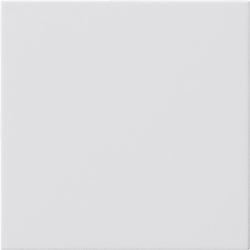GIRA 810803 Blindabd. o.Tragring System 55 Reinweiß