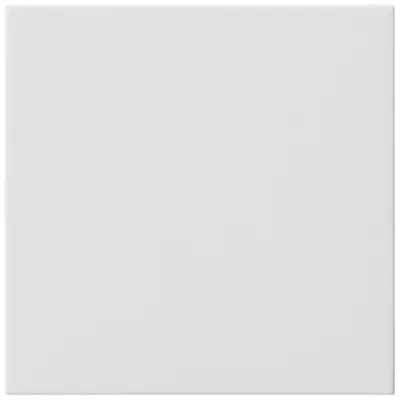 GIRA Blindabdeckung 810803 | System 55 | Zentralplatte | Unterputz | Kunststoff Thermoplast | glänzend | weiß RAL 9010