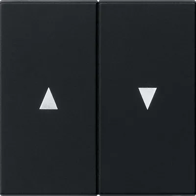 GIRA Wippe 2fach 0294005 | Jalousie Schalterabdeckung | Pfeilsymbol | System 55 | Kunststoff matt | Schwarz