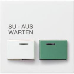 GIRA Abdeckung f.Dienstz.-Einh. rw gl 025703