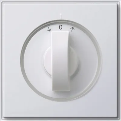 GIRA Abdeckung Knebel 066666 TX_44 | Jalousieschalter Zeitschalter | IP44 | Symbol Pfeile | reinweiß