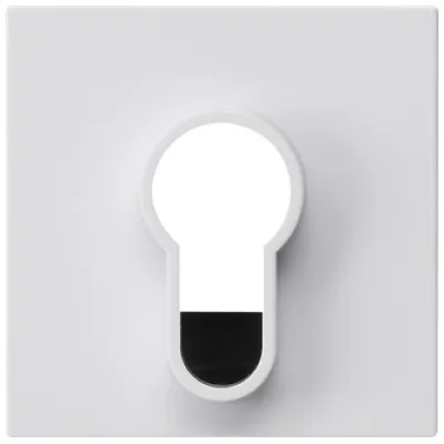 GIRA Abdeckung für Schlüsselschalter/-taster 866403 System 55 | Ersatzteil | Kunststoff | glänzend | reinweiß RAL 9010