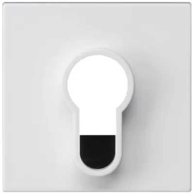 GIRA Abdeckung Schlüsselschalter 866427