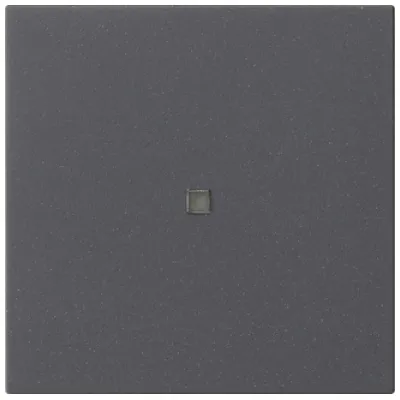 GIRA Bedienaufsatz S3000 Anthrazit 536828