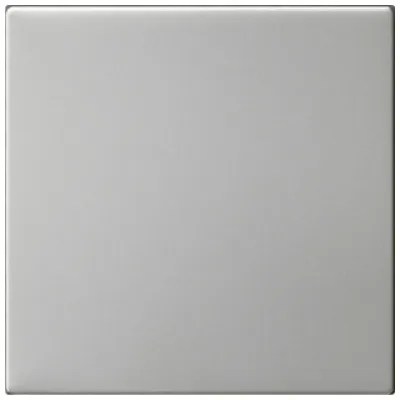 Gira Bedienaufsatz System 3000 5360600 | Jalousien, Rollläden & Markisen steuern | System 55 | Edelstahl