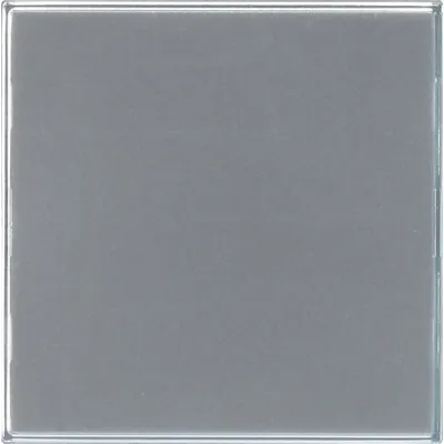 GIRA Bedientaste 1fach klar Türstation 851500