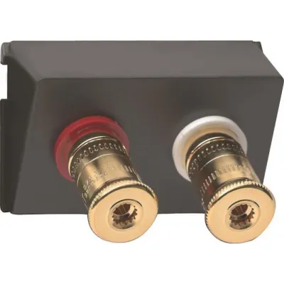 GIRA Lautsprecher-Steckverbinder WBT 009100 | System 55 | vergoldet | schwarz | bis 10mm²