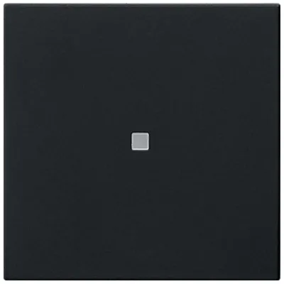 GIRA Funk-Bedienaufsatz Schwarz 5495005