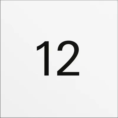 GIRA Info-Modul System 106 Verkehrsweiß(lack.) 5560902