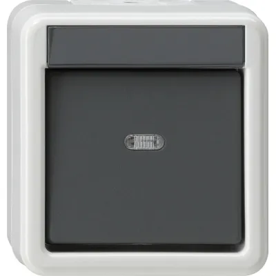 Gira Wippschalter Kreuzschalter 010730 | Aufputz | IP44 | 10A 250V | beleuchtbar | Grau