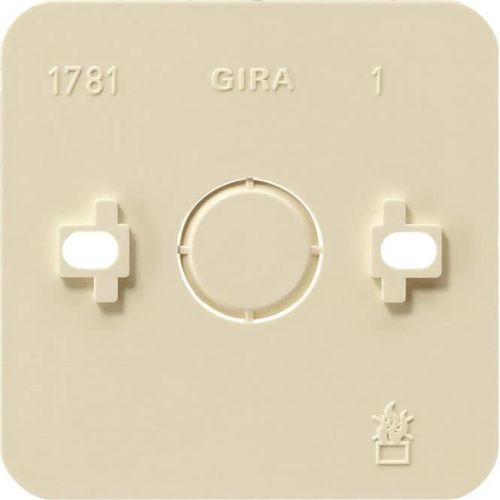 Bild: GIRA Montageplatte 1f.cws AP 008113