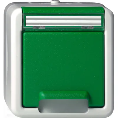 GIRA SCHUKO-Steckdose 4440307 | Schutzkontakt Typ F | Aufputz IP44 | Klappdeckel | Beschriftungsfeld | Kunststoff | grün