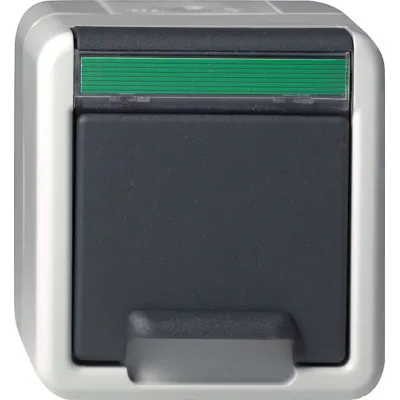 Gira Schuko-Steckdose gr Ammoniakbestän.AP-WG 017530