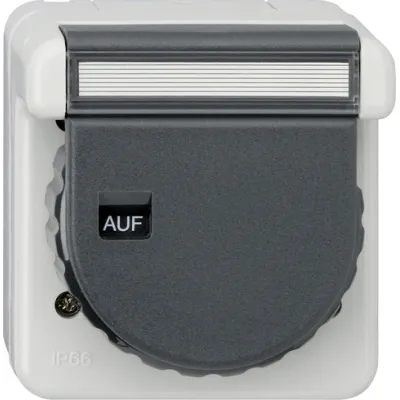 Gira Schuko-Steckdose 044031 | Aufputz | IP66 wasserdicht | Klappdeckel | Beschriftungsfeld | 16A 250V | grau