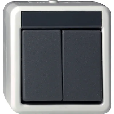 Gira Wipptaster Serientaster 015530 | Aufputz | 2-fach | IP44 wassergeschützt | Beschriftungsfeld | 10A 250V | grau