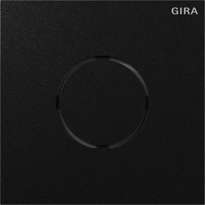 GIRA Sprachmodul System 106 5563925 | Bus-System | Freisprechfunktion | wetterfest | für Außenbereich | schwarz matt