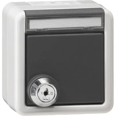 GIRA SCHUKO-Steckdose 456930 | Steckdose Typ F Aufputz | abschließbar mit Klappdeckel | IP44 | Beschriftungsfeld | grau