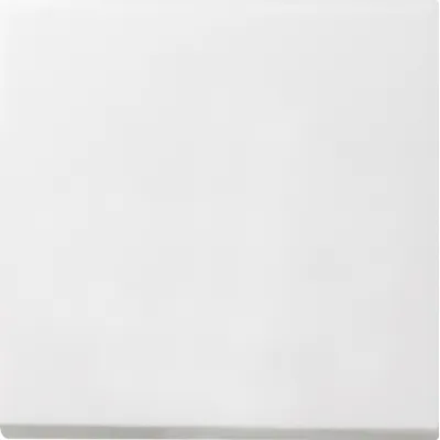 Gira Tast-Wechselschalt. rws-gl 0126112