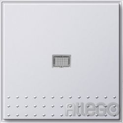 Gira Taster kompl. m. Linse rw 012066